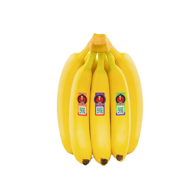 Sebastiano Banana Ecuador (5-6 Pieces 1kg)