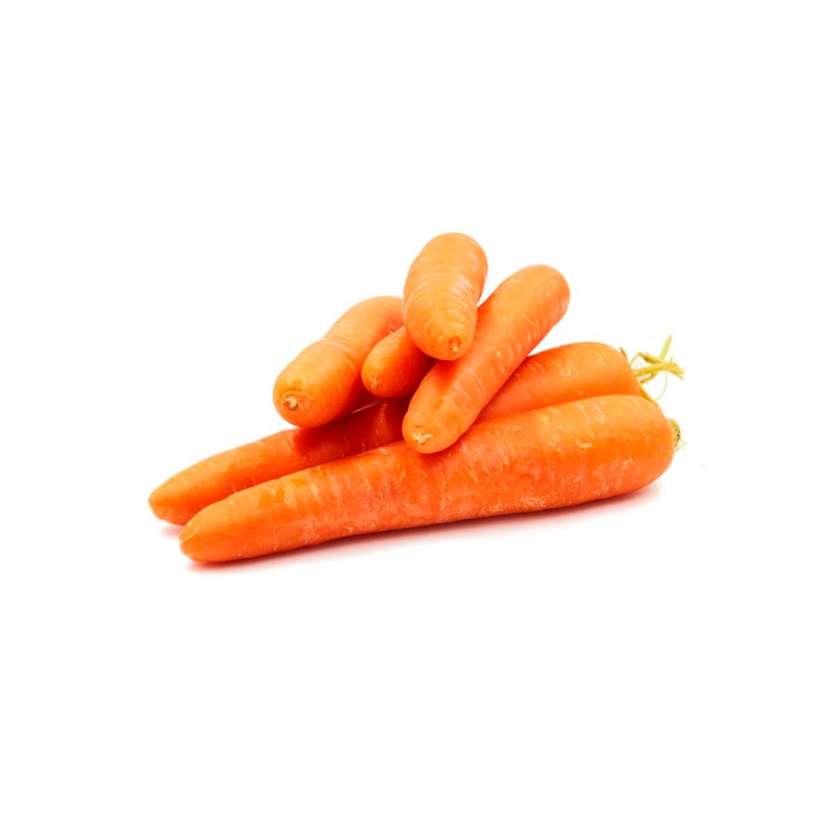 Carrot