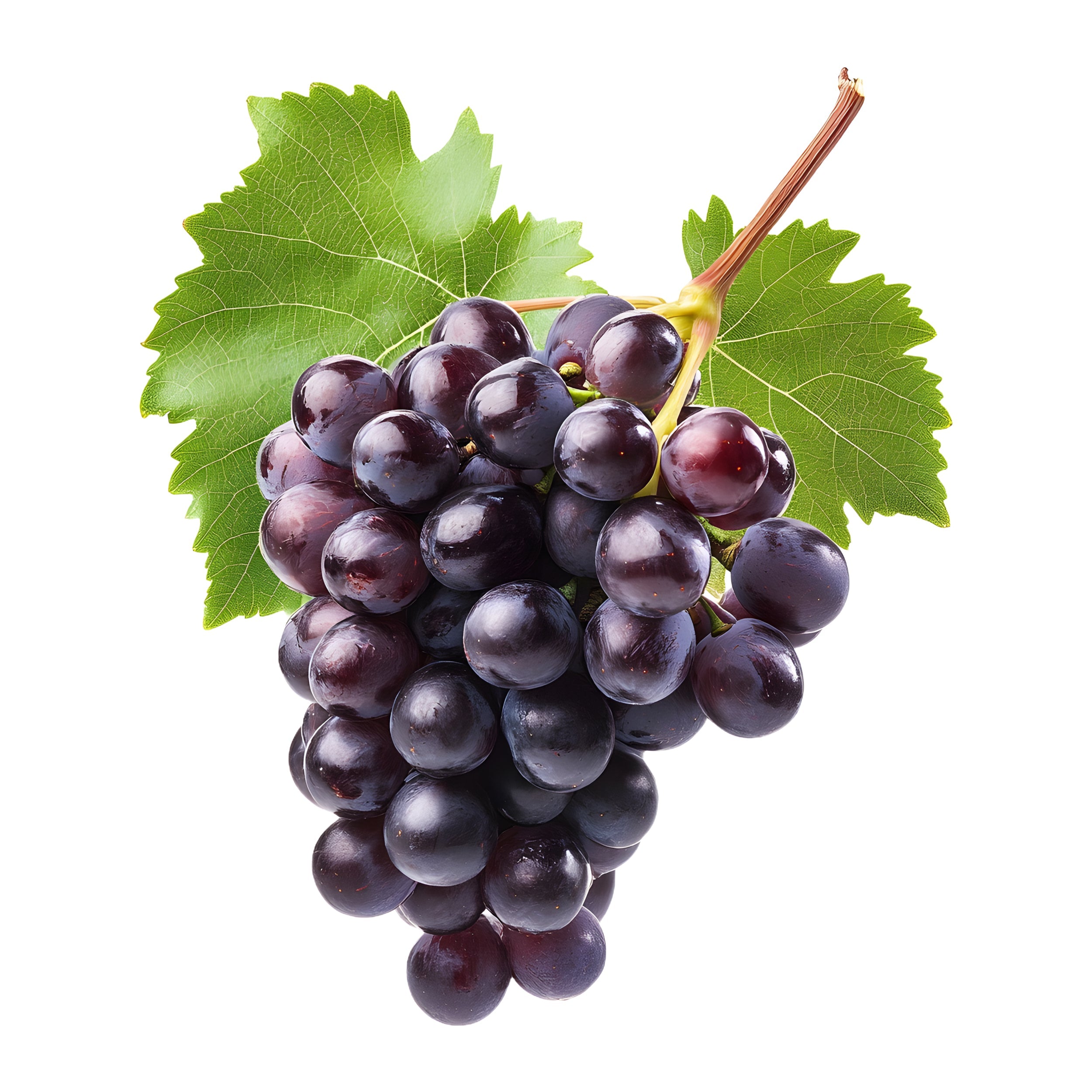 fresh grapes UAE  buy grapes online Dubai  grapes delivery UAE  online groceries UAE  Fresh Market grapes  seedless grapes Dubai  fruit delivery near me UAE  grapes online UAE  grocery delivery Dubai  grapes fresh fruit UAE