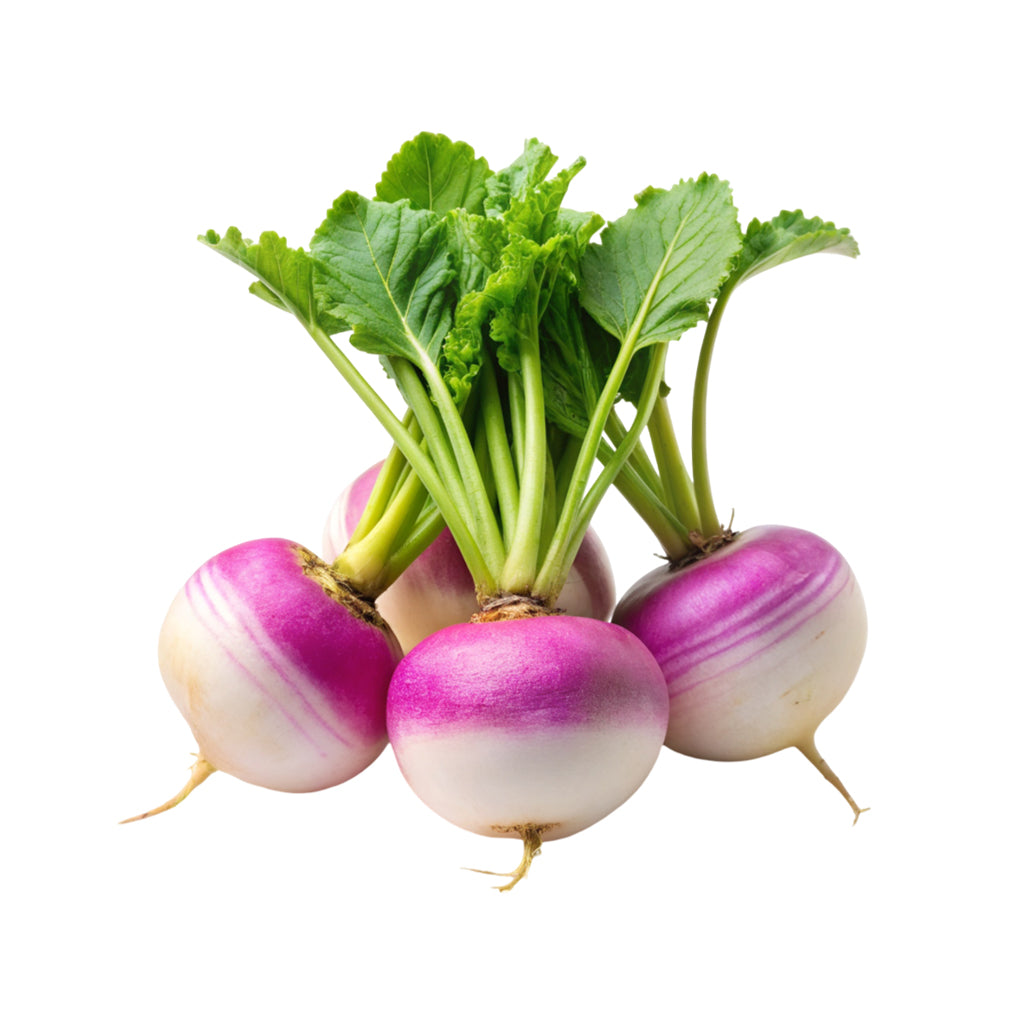 fresh carrots UAE  root vegetables online Dubai  buy carrots online UAE  vegetable delivery Dubai  online groceries UAE  fresh produce Dubai  carrots near me delivery  fresh root vegetables UAE  Fresh Market groceries  grocery delivery near me UAE