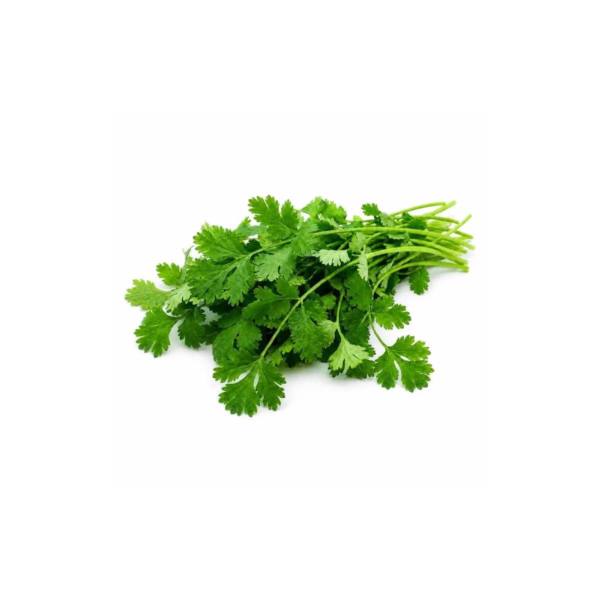 Fresh Green Coriander Leaves 120gm