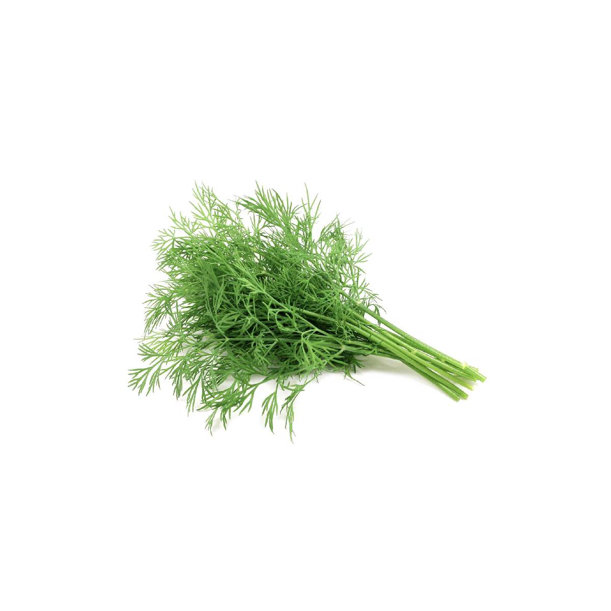 Fresh Green Dill Leaves 120gm