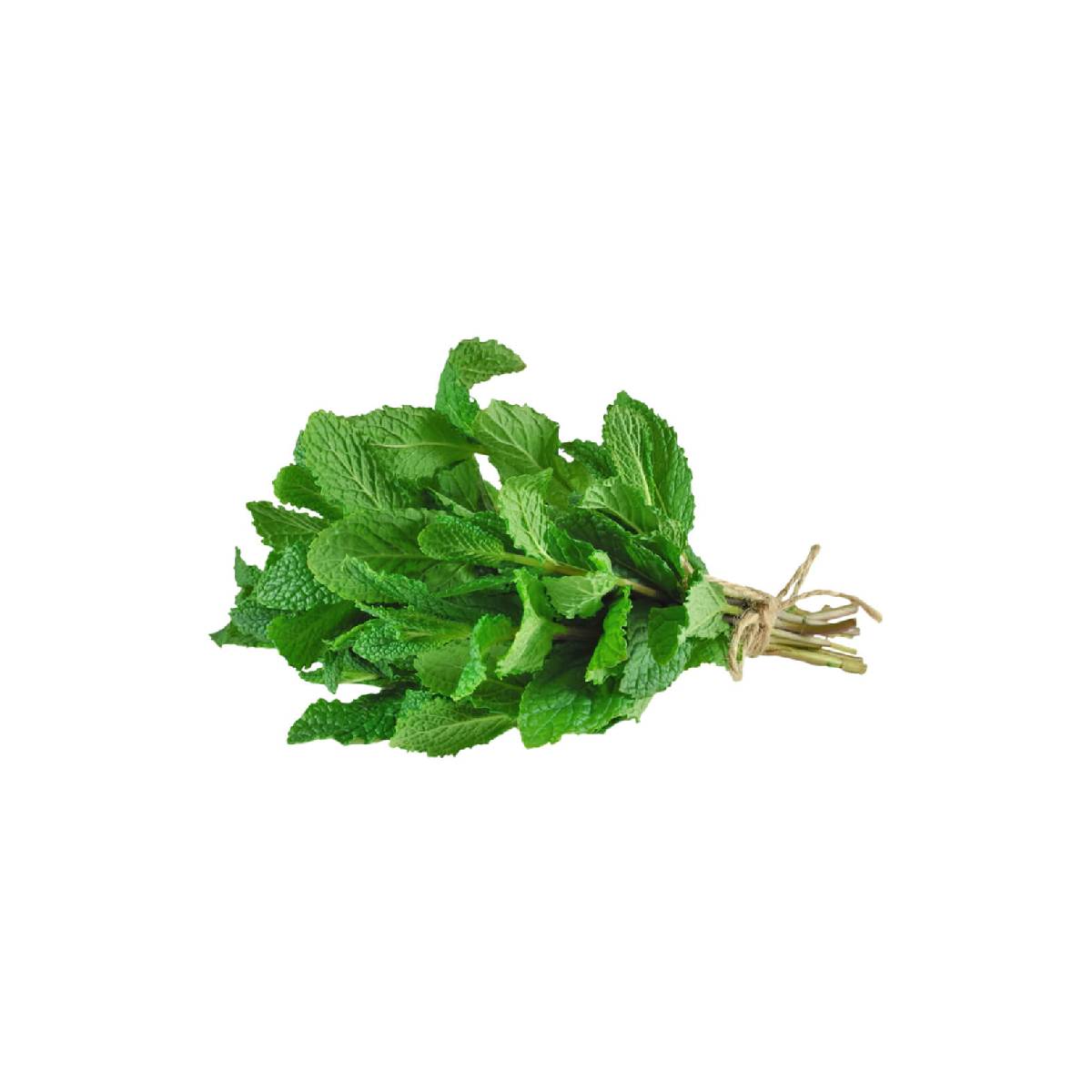 Fresh Green Mint Leaves 120gm