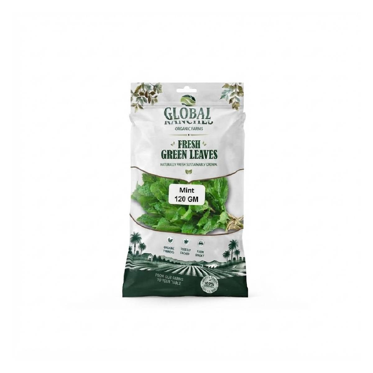 Fresh Green Mint Leaves 120gm