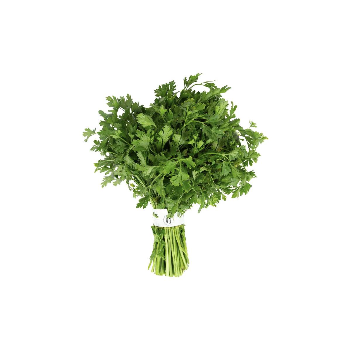Fresh Green Parsley Leaves 120gm