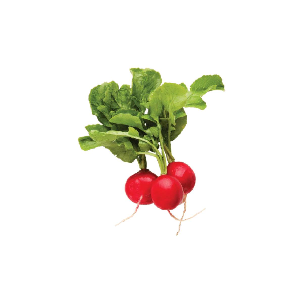 Fresh Red Radish 120gm