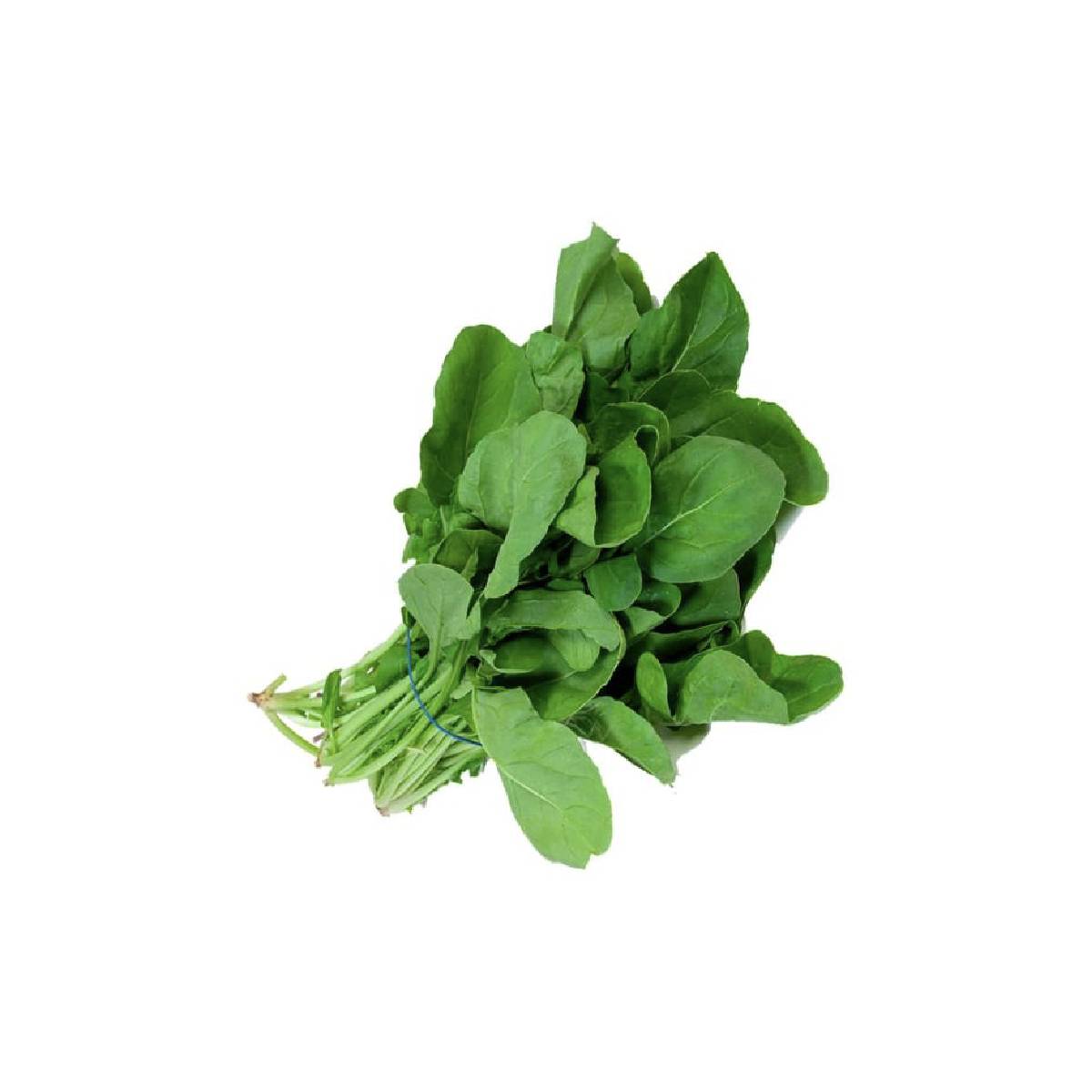 Fresh Green Rocca Leaves 120gm