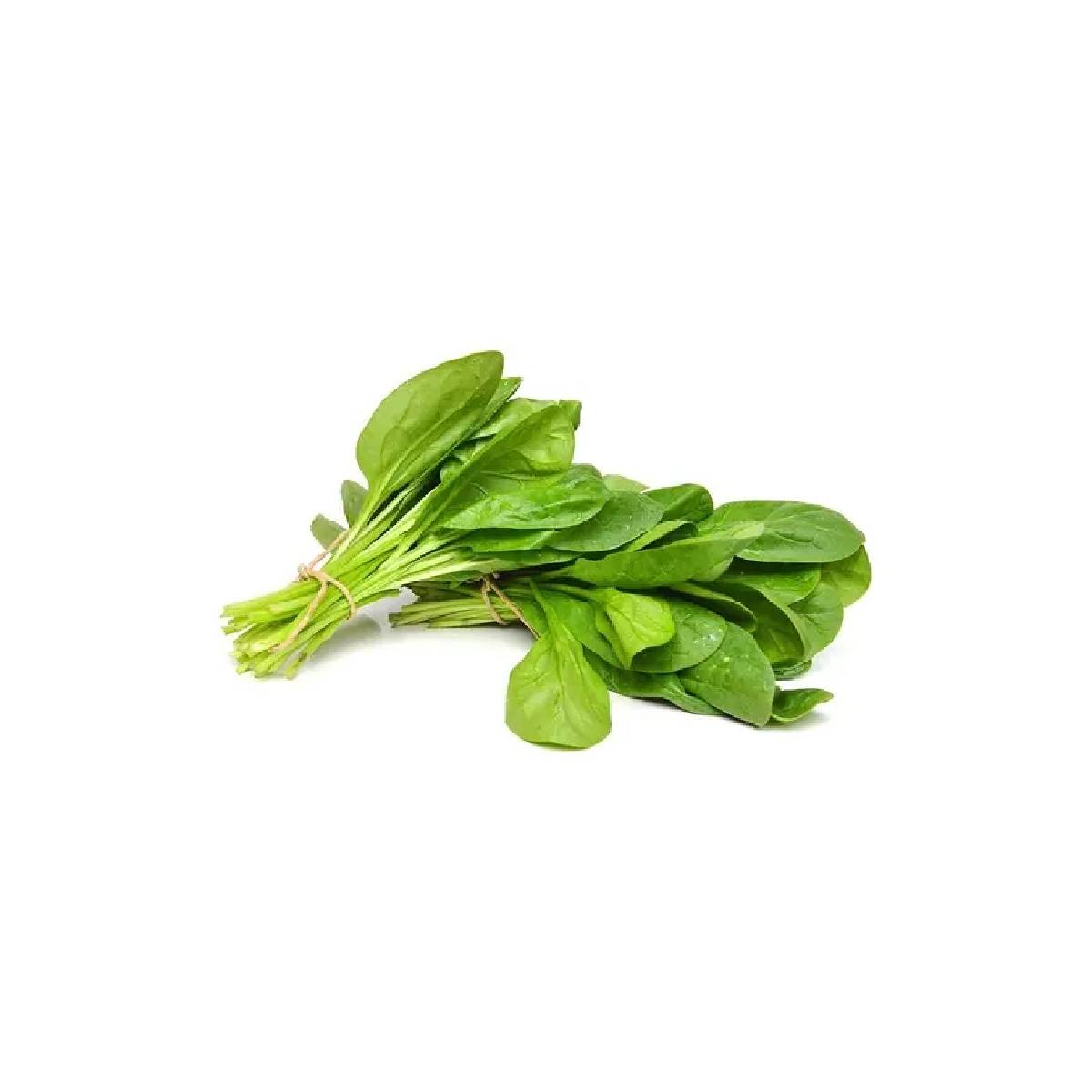 Fresh Green Ruwiad Leaves 120gm