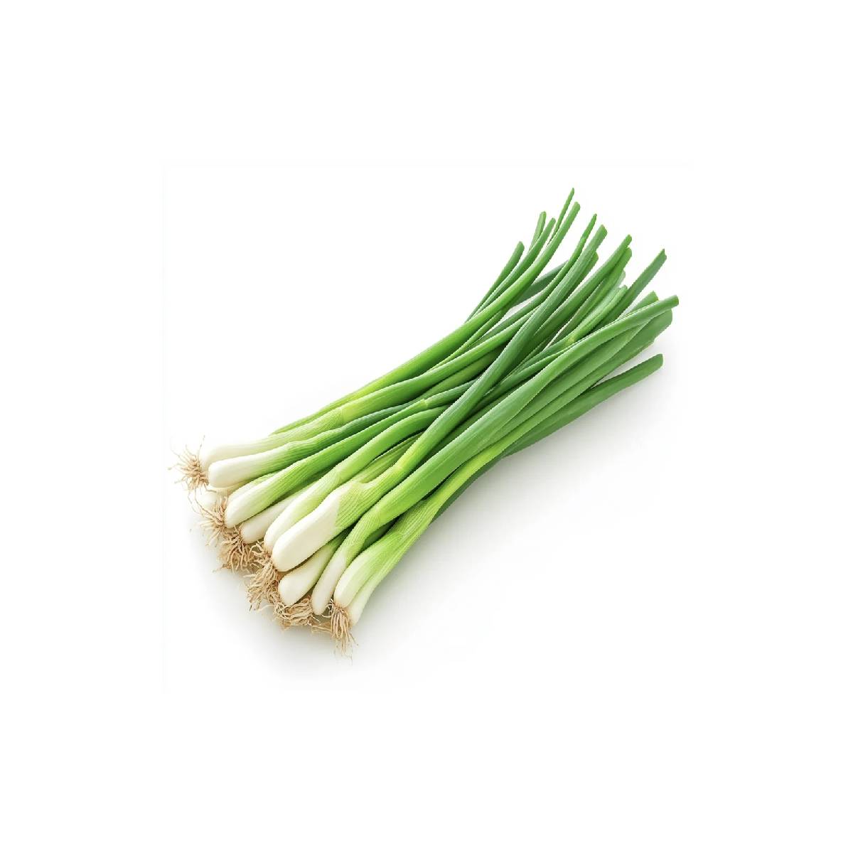 Fresh Green Spring Onion 120gm