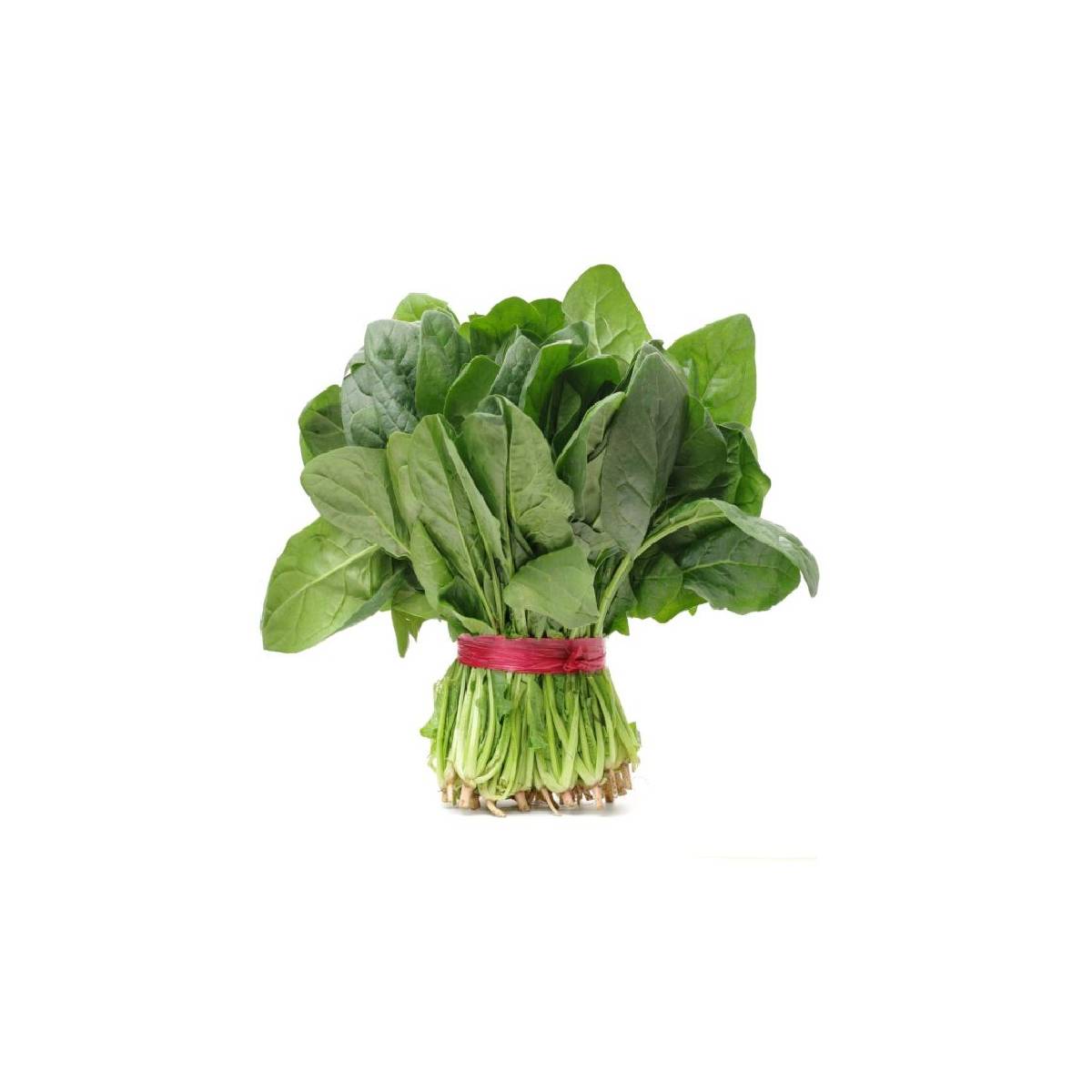 Fresh Green Chard Leaves 120gm