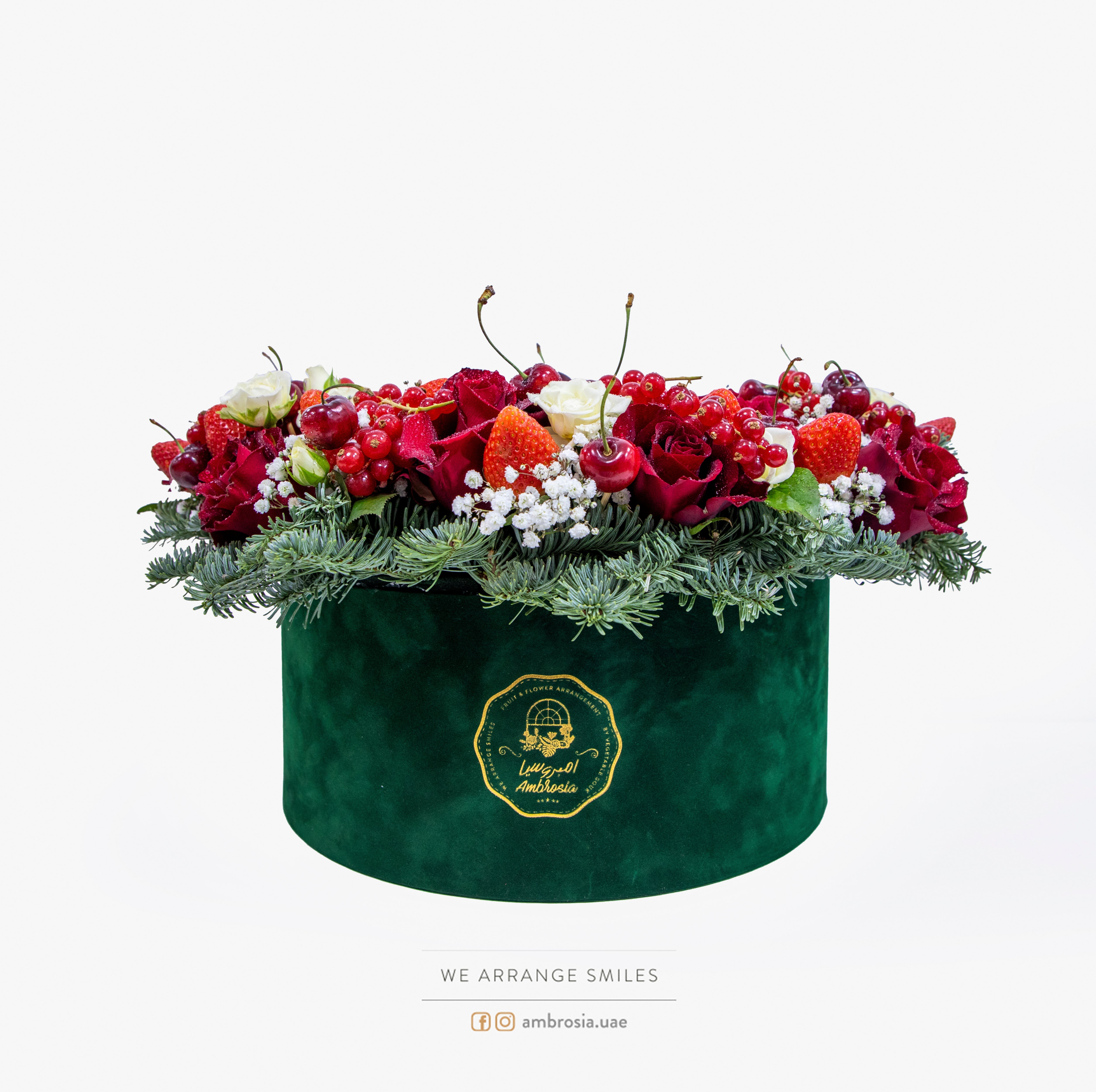 Sweet Wonderland Box Deluxe