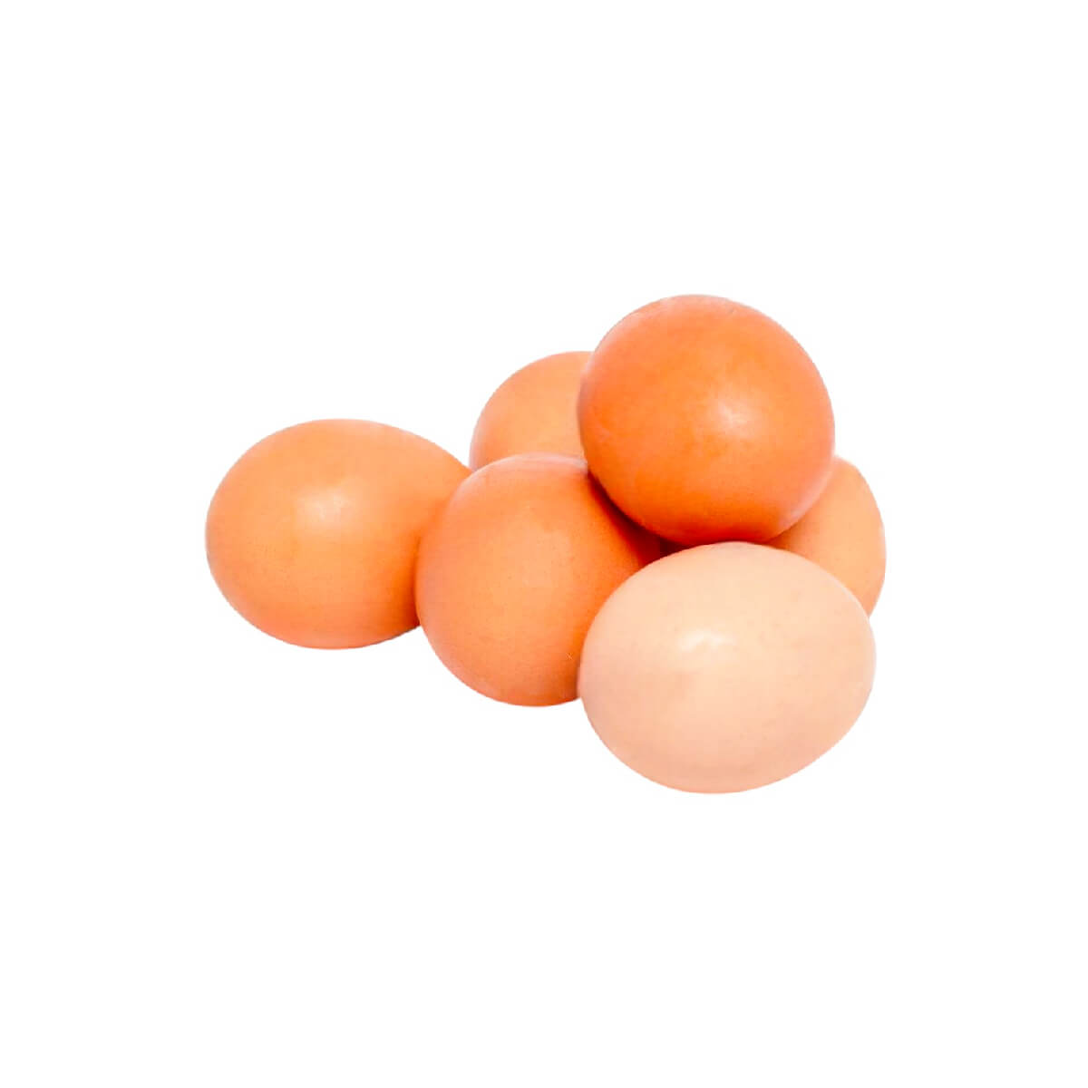 Fresh Chicken Egg