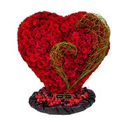 Burgundy Fantasy 500 Rose