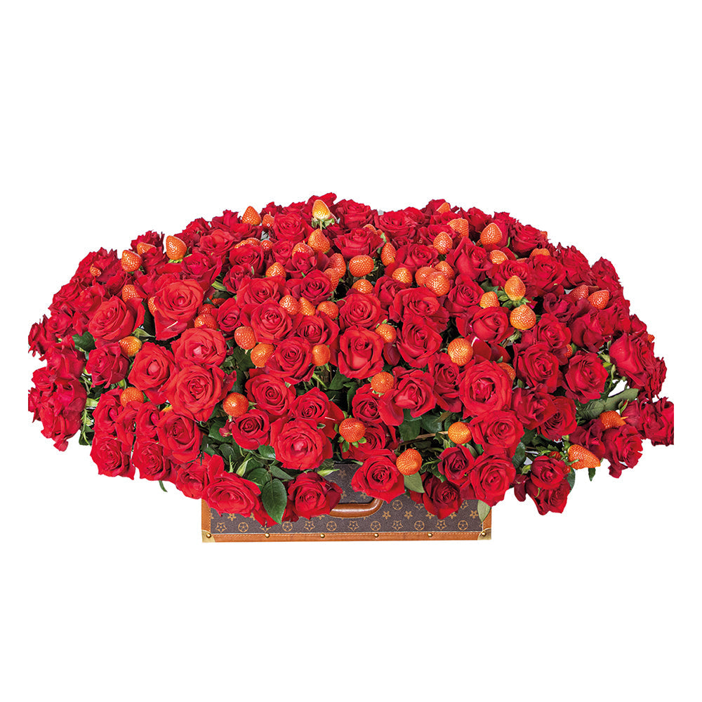 Burgundy Fantasy 300 Rose