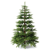 Natural Christmas Tree