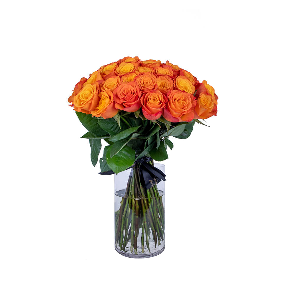 Ambrosia Sunrise Surprise Orange Roses + Vase