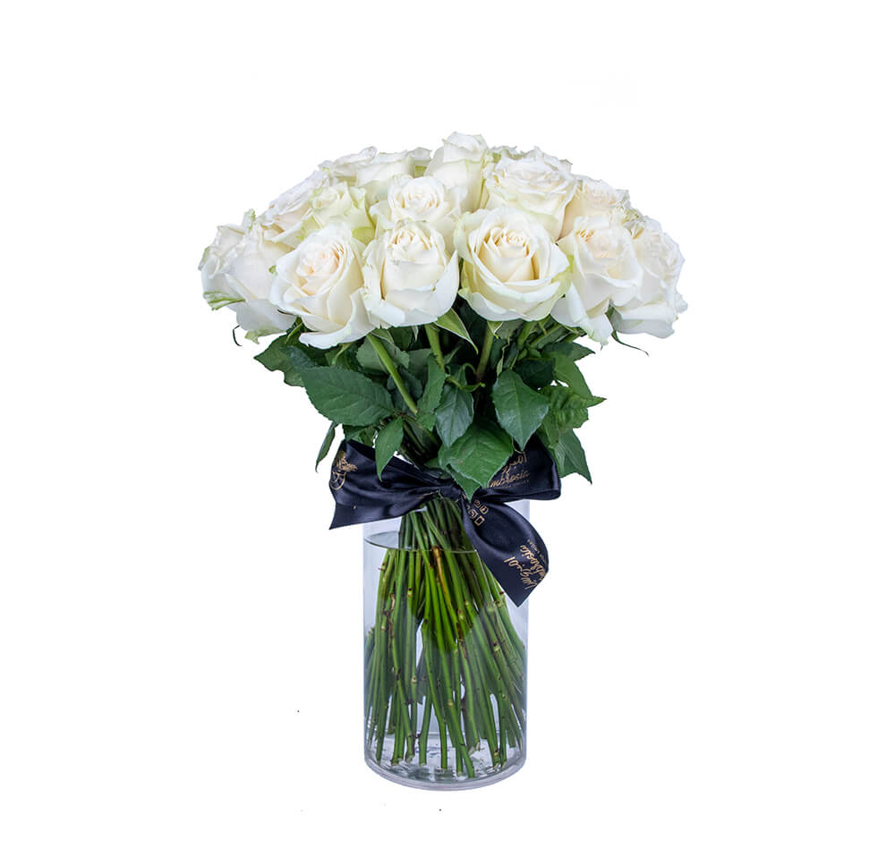 Ambrosia White Roses Wonder + Vase