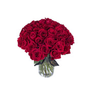 Ambrosia 100 Kisses 100 Red Roses Small