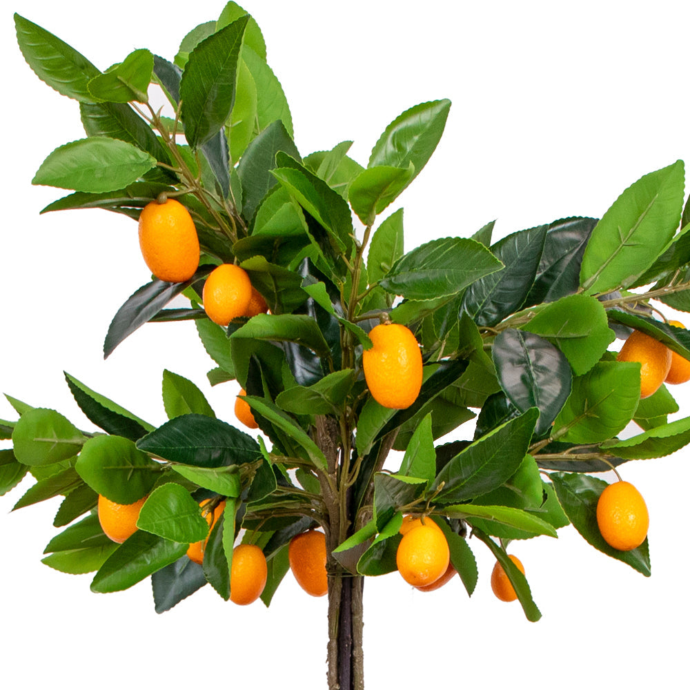 Fruity Tree Pleasure