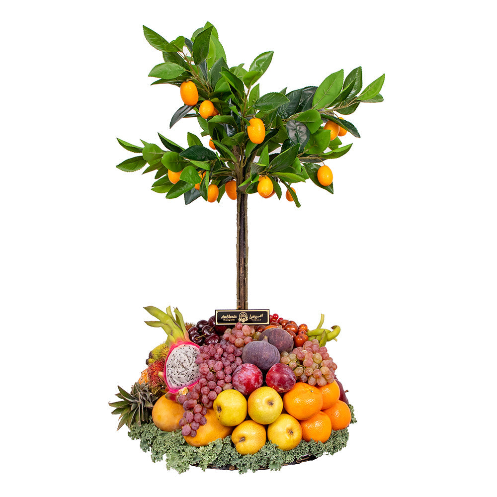 Fruity Tree Pleasure