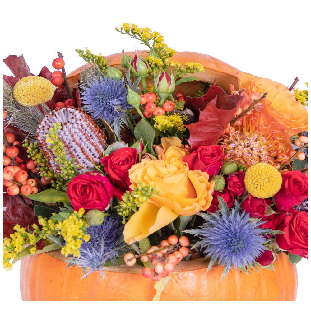 Flower Pumpkin Blossom