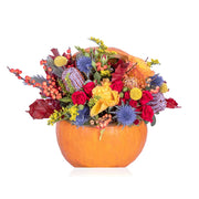 Flower Pumpkin Blossom