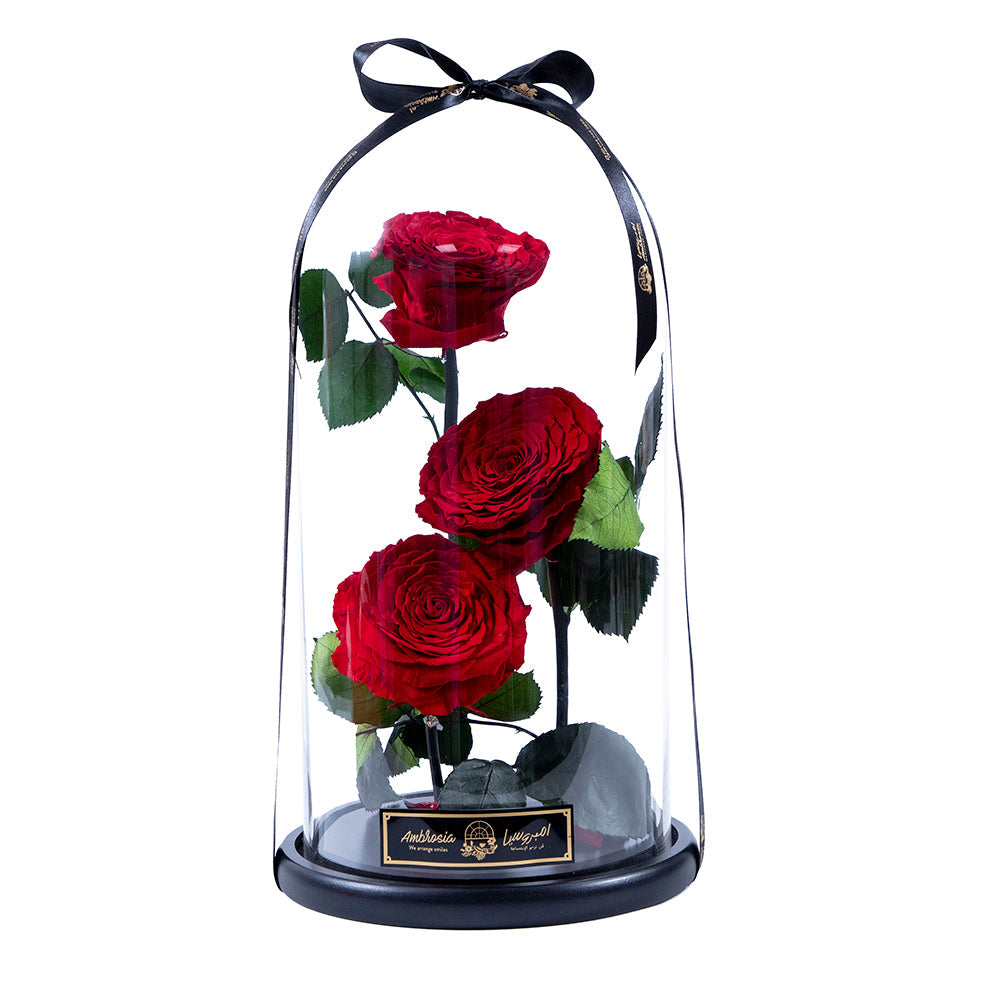Infinity flower Premium - Eternal Love (Group)