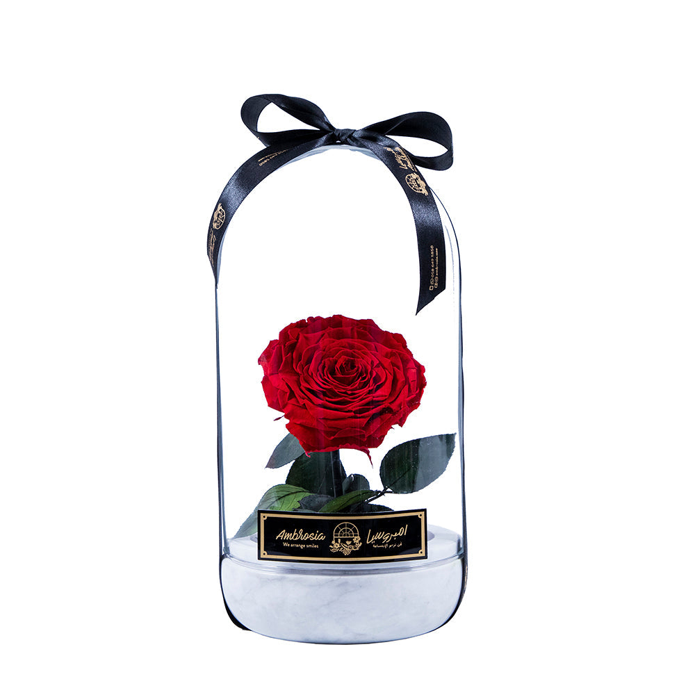 Infinity flower Premium-Eternal Love - Red