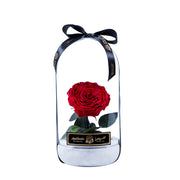 Infinity flower Premium-Eternal Love - Red