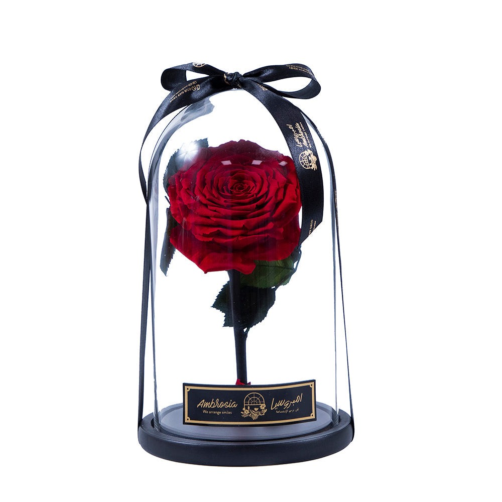Infinity flower Premium - Eternal Love (L)