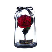 Infinity flower Premium - Eternal Love (L)