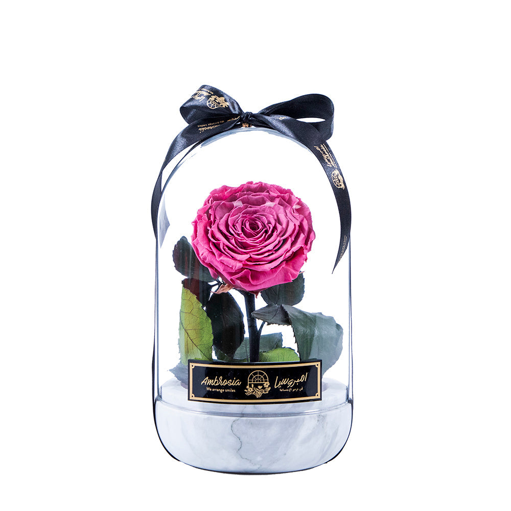 Infinity flower Premium -Eternal Love - Pink