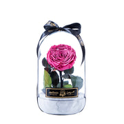 Infinity flower Premium -Eternal Love - Pink