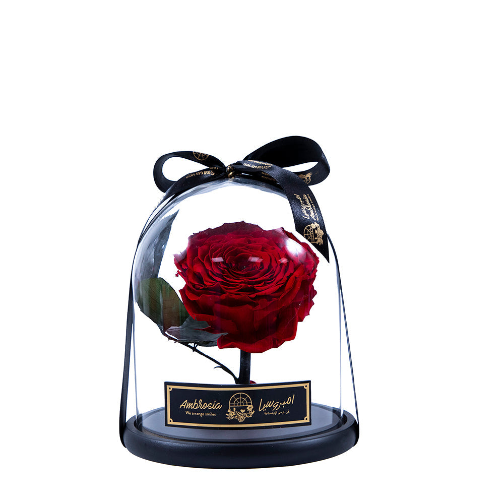 Infinity flower Premium - Eternal Love (S)