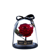 Infinity flower Premium - Eternal Love (S)