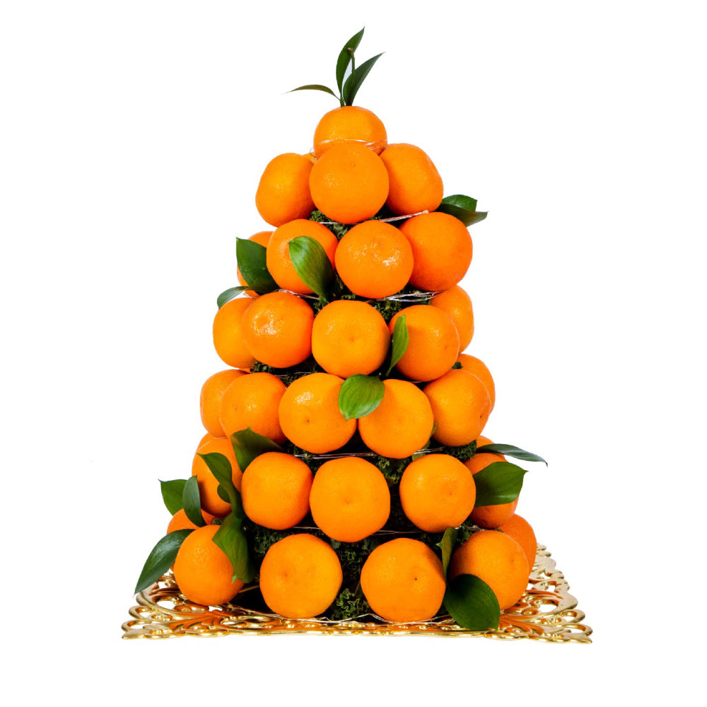 Orange Tree
