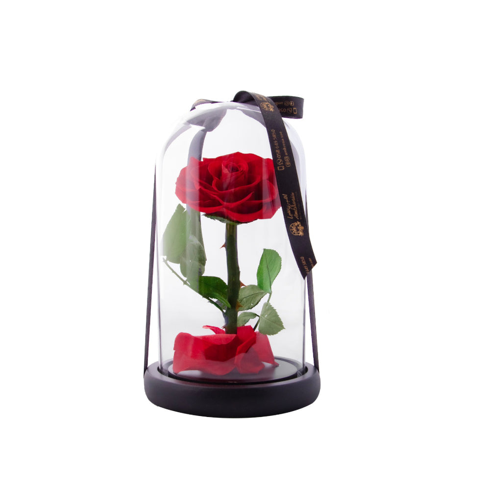 Infinity Flower - Eternal Love (single rose)