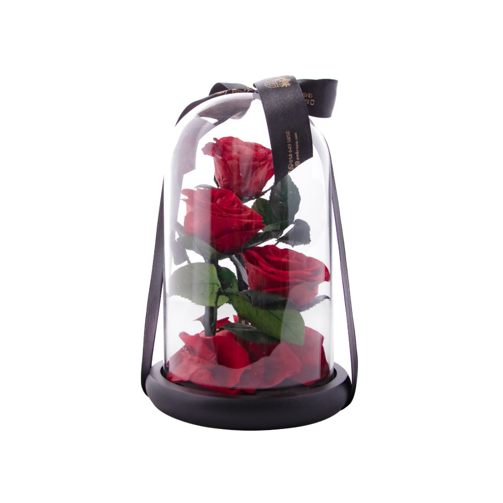 Infinity Flower - Eternal Love (3 small roses)