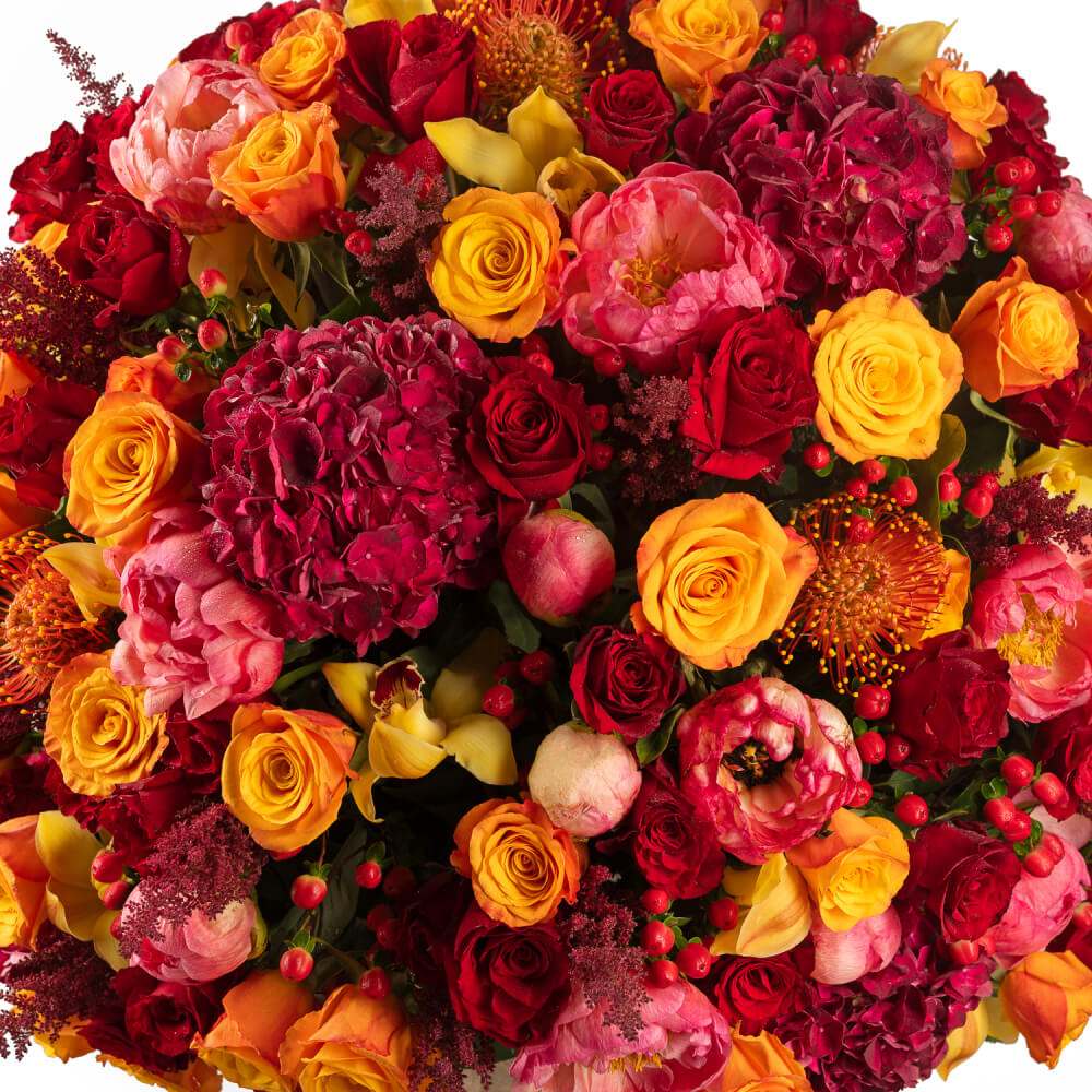 fruitful-passion-royale-gourmet-3000157276737