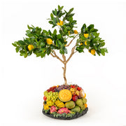 Exotic Harvest Fruit Tree