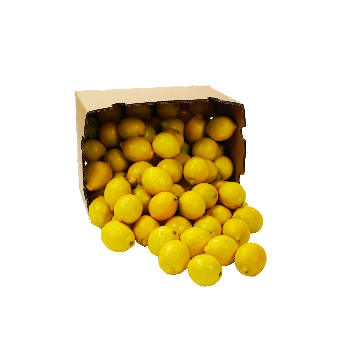 Lemon Yellow Argentina 15Kg BOX