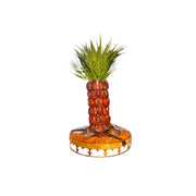 Al Nakhla Palm Date Tree (small)