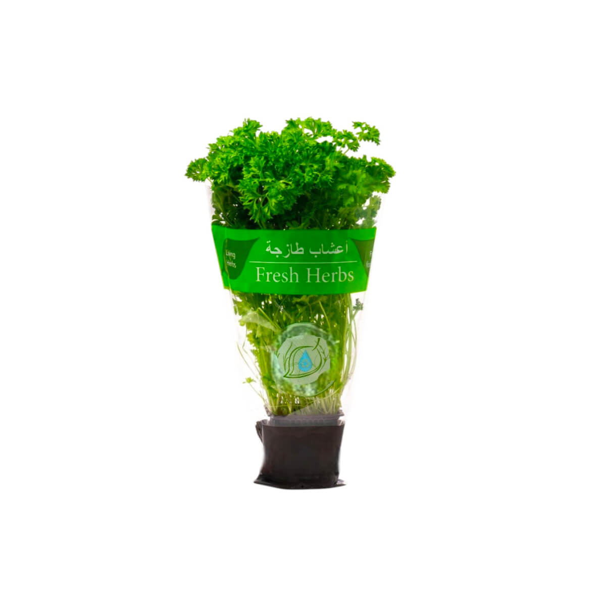Refarm Organic Parsley Pot Pack