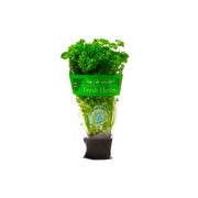 Refarm Organic Parsley Pot Pack