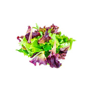 Refarm Baby Lettuce  Lollo Rosa Red Crispy Uae 100g Pack