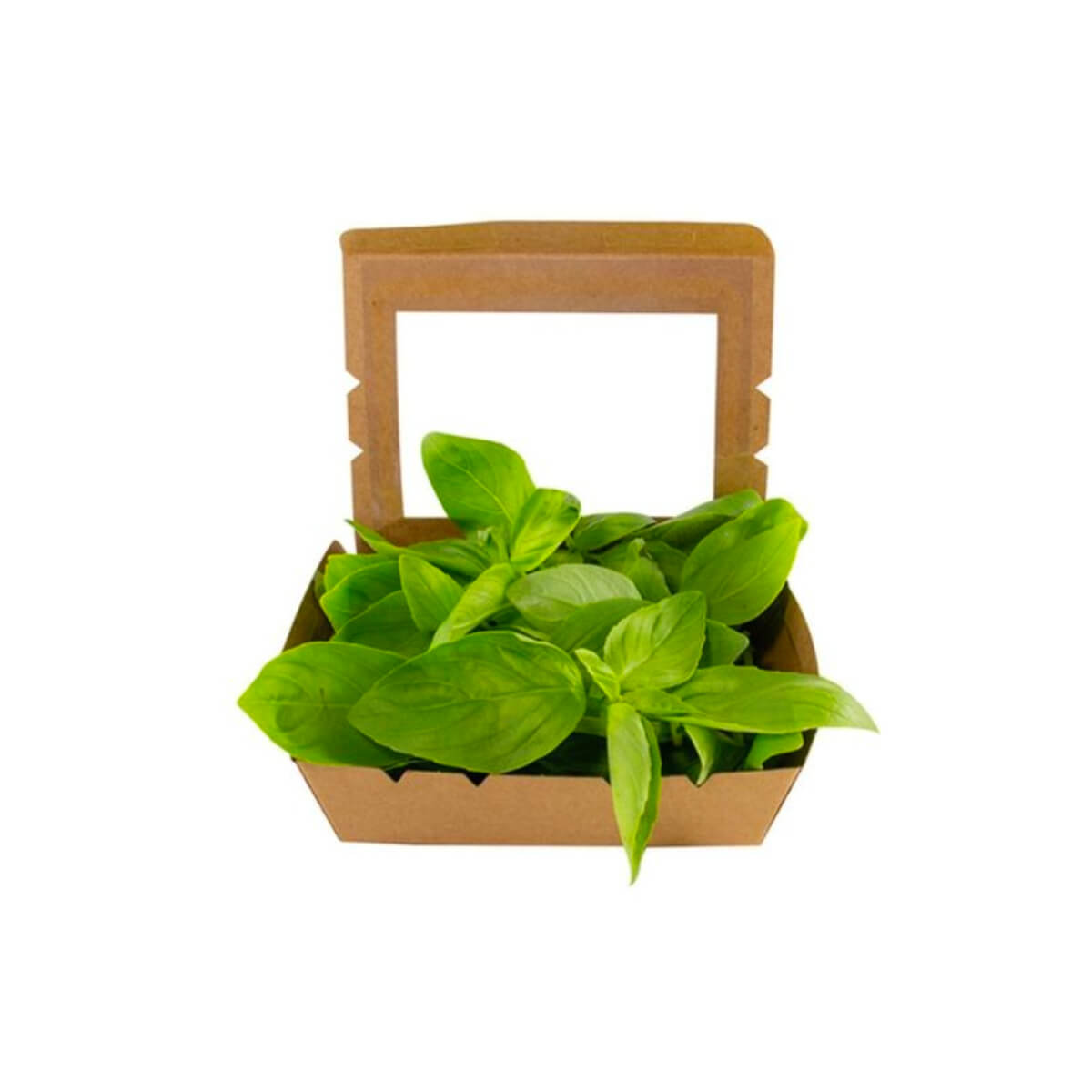 Refarm Basil Cut Herbs Uae 25g Pack