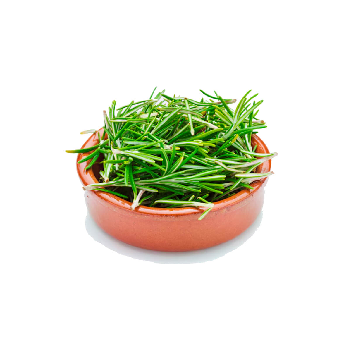 Refarm Rosemary Cut Herbs Uae 25g Pack