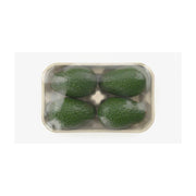 Avocado Lebanon 4 pieces Pack