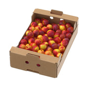 Nectarine South Africa 2-3 Kg Box