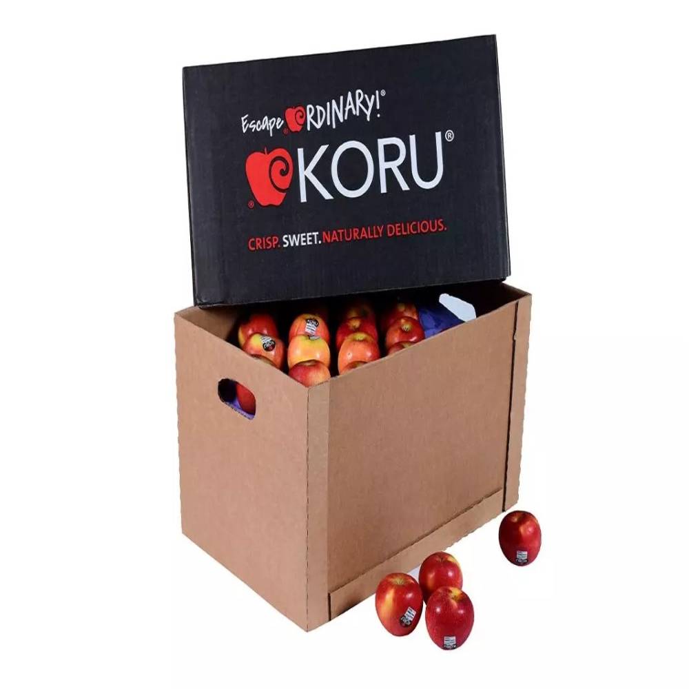 Koru Apple New Zealand 18 Kg Box
